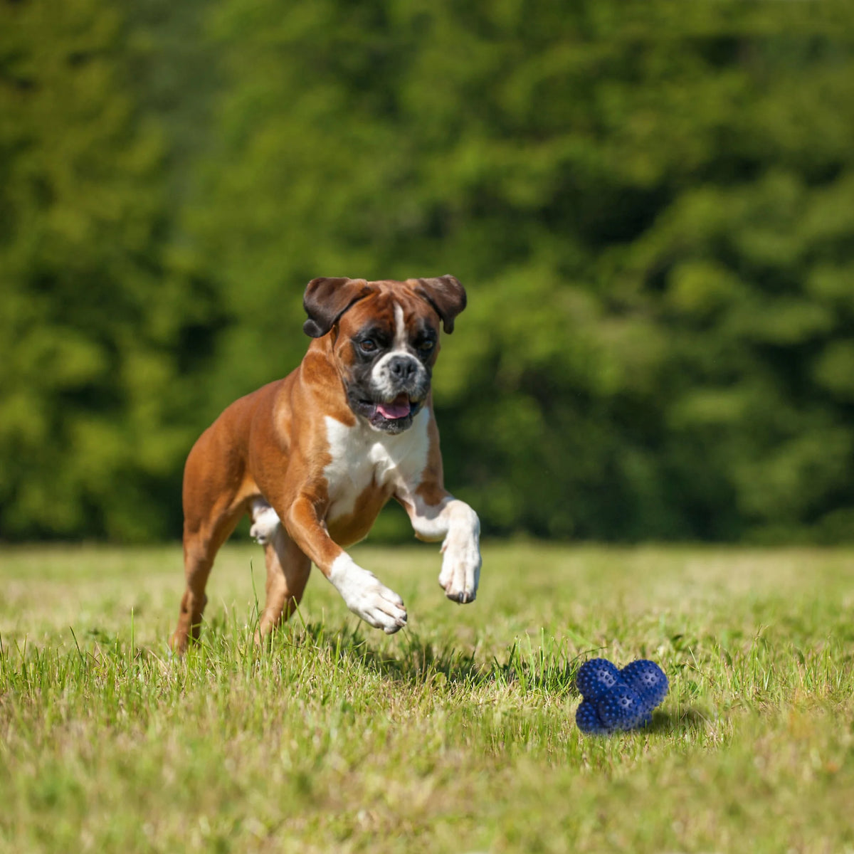 Power Play Crazy Ball Dog Toy Large/Giant - up to 50 Lbs. (1 Count)